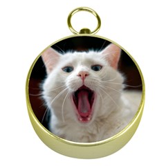 Wow Kitty Cat From Fonebook Gold Compasses