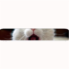 Wow Kitty Cat From Fonebook Small Bar Mats