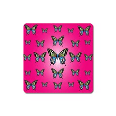 Butterfly Square Magnet