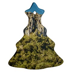 Arequita National Park, Lavalleja, Uruguay Christmas Tree Ornament (Two Sides)