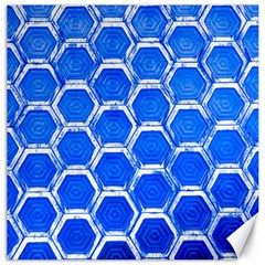 Hexagon Windows Canvas 20  X 20  by essentialimage365