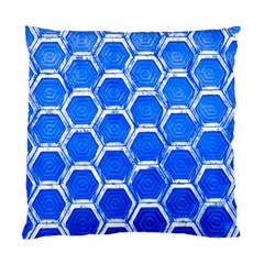 Hexagon Windows Standard Cushion Case (two Sides) by essentialimage365