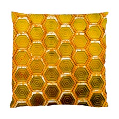 Hexagonal Windows Standard Cushion Case (two Sides) by essentialimage365