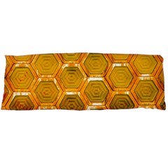 Hexagonal Windows Body Pillow Case (dakimakura) by essentialimage365