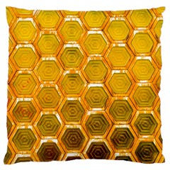 Hexagonal Windows Large Flano Cushion Case (one Side) by essentialimage365