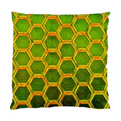 Hexagon Windows Standard Cushion Case (two Sides) by essentialimage365