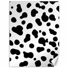 Spots Canvas 36  X 48  by Sobalvarro