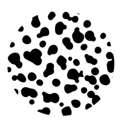 Spots Pop Socket by Sobalvarro