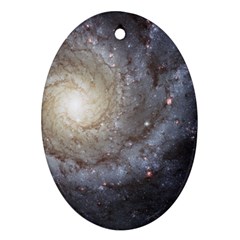 Spiral Galaxy Ornament (oval) by ExtraGoodSauce