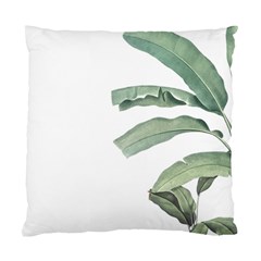 Banana Leaf Standard Cushion Case (two Sides) by goljakoff