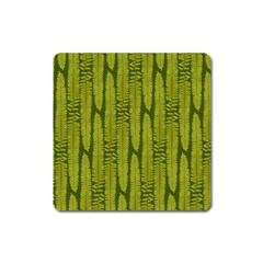 Fern Texture Nature Leaves Square Magnet