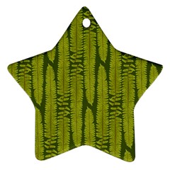 Fern Texture Nature Leaves Star Ornament (two Sides)