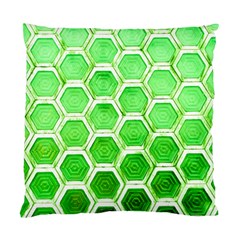 Hexagon Windows Standard Cushion Case (one Side) by essentialimage365