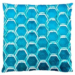 Hexagon Windows Standard Flano Cushion Case (two Sides) by essentialimage365