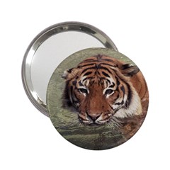 Swimming Tiger 2 25  Handbag Mirrors by ExtraGoodSauce