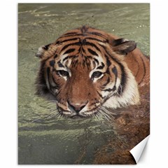 Swimming Tiger Canvas 16  X 20  by ExtraGoodSauce