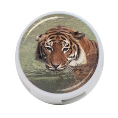 Swimming Tiger 4-port Usb Hub (two Sides) by ExtraGoodSauce