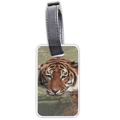Swimming Tiger Luggage Tag (one Side) by ExtraGoodSauce