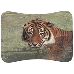 Swimming Tiger Velour Seat Head Rest Cushion by ExtraGoodSauce