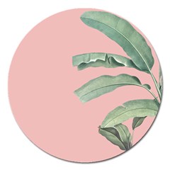 Banana Leaf On Pink Magnet 5  (round) by goljakoff