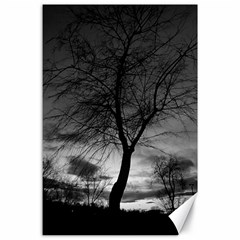 Black And White Tree 1 Canvas 24  X 36  by DeCarolina