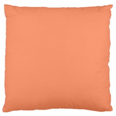 Color Light Salmon Large Cushion Case (two Sides) by Kultjers