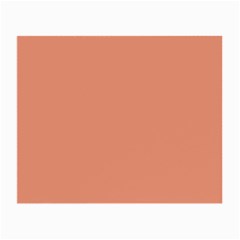 Color Dark Salmon Small Glasses Cloth by Kultjers