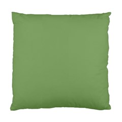 Color Asparagus Standard Cushion Case (one Side) by Kultjers