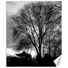 Black And White Tree Canvas 8  X 10  by DeCarolina