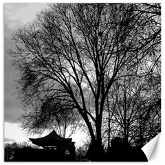 Black And White Tree Canvas 20  X 20  by DeCarolina
