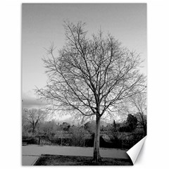 Tree Black And White Canvas 18  X 24  by DeCarolina