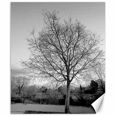 Tree Black And White Canvas 20  X 24 