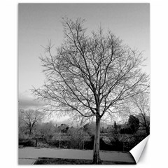 Tree Black And White Canvas 11  X 14  by DeCarolina