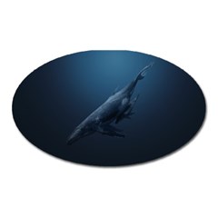 Blue Whales Oval Magnet by goljakoff