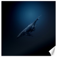 Blue Whales Canvas 20  X 20  by goljakoff