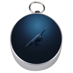 Blue Whales Silver Compasses by goljakoff