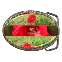 Photos Collage Coquelicots Belt Buckles by kcreatif