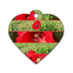 Photos Collage Coquelicots Dog Tag Heart (one Side)