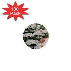 Champs De Marguerites 1  Mini Magnets (100 Pack)  by kcreatif