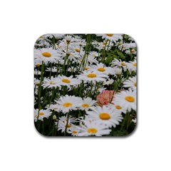 Champs De Marguerites Rubber Coaster (square)  by kcreatif