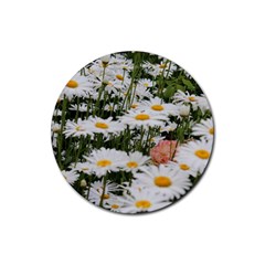 Champs De Marguerites Rubber Coaster (round)  by kcreatif