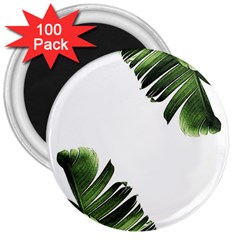 Green Banana Leaves 3  Magnets (100 Pack) by goljakoff