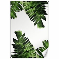 Green Banana Leaves Canvas 24  X 36  by goljakoff