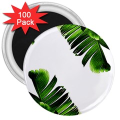 Banana Leaves 3  Magnets (100 Pack) by goljakoff