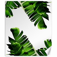 Banana Leaves Canvas 20  X 24  by goljakoff