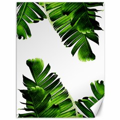 Banana Leaves Canvas 36  X 48  by goljakoff