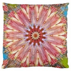 Pink Beauty 1 Large Cushion Case (two Sides) by LW41021