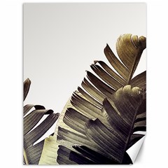 Vintage Banana Leaves Canvas 36  X 48  by goljakoff