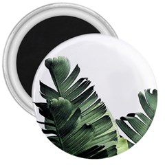 Banana Leaves 3  Magnets by goljakoff