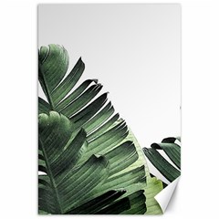 Banana Leaves Canvas 20  X 30  by goljakoff